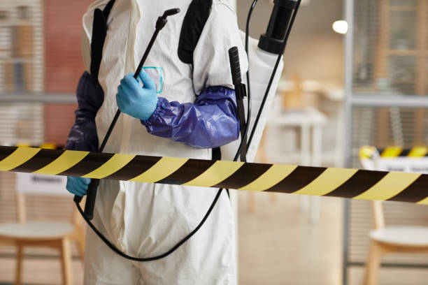 Professional Odor Removal technician working in Pewamo, MI