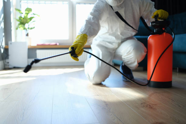 Reliable Odor Removal contractor in Pewamo, MI by Trauma Clean Pros